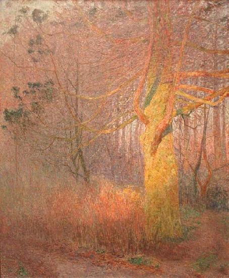 Emile Claus Tree in the Sun